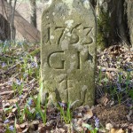 Grenzstein Nähe Niedersteinach (Foto © R. Wolf)