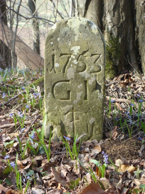 Grenzstein Nähe Niedersteinach (Foto © R. Wolf)