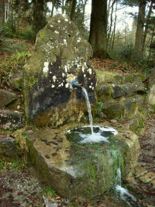 Fratzenbrunnen im Trauzenbachtal (Foto © R. Wolf)